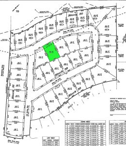 Greenbrier lot # 10